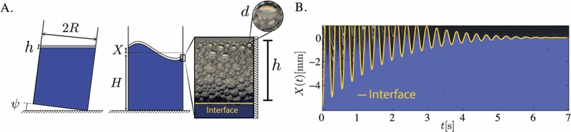 Image: F. Viola et al./Physics of Fluids